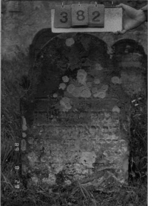 Grabstein 382 (Index: 100107290) Material: gelb-grauer Sandstein Zustand: stark verwittert, versalzen und bewachsen Maße HxBxT: 88x57x14 cm Beschreibung: Stele in Sonderform: Grabstein 382