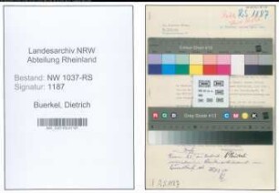 Entnazifizierung Dietrich Buerkel , geb. 02.01.1905 (Regierungsrat)