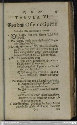 Tabula VI. Von dem Osse occipitis