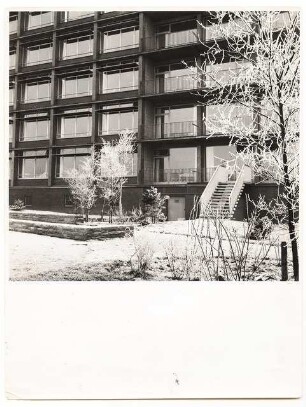 Grünanlage an der Paracelsus-Klinik, Marl: Treppe zum Garten