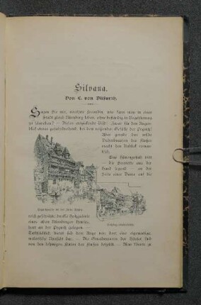 Pegnitzpartie bei der Insel Schütt.; Holzsteg ebendaselbst.