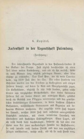 6. Kapitel. Aufenthalt in der Regentschaft Palembang (Fortsetzung)
