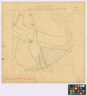 Johannisberg ([Landkreis Habelschwerdt]) Eduard Strauch. Flurplan mit dem eingezeichneten Besitz des Bauern Eduard Strauch
