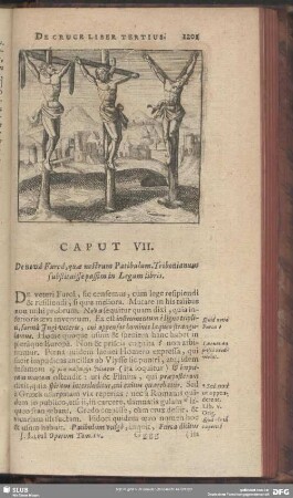 De Cruce Liber Tertius. Caput VII.