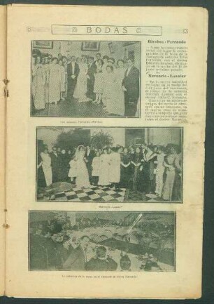 Bodas