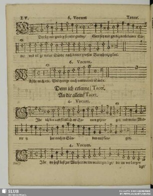 XV. Gott sei mir gnädig