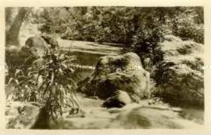 Felsformationen an einem Bach im Schwarzatal
