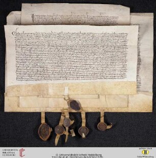 Gesamtansicht Vorderseite (Urk. Lehmann 326-329)