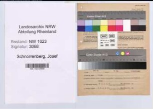 Entnazifizierung Josef Schnorrenberg , geb. 11.12.1898 (Sattler)