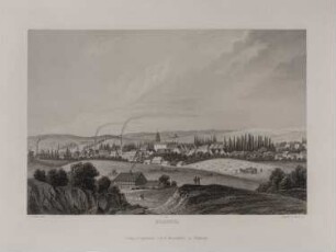 Zielenzig (Kr. Oststernberg) [Sulęcin]: Stadtansicht von Westen (Brandenburgisches Album, Blatt 41)