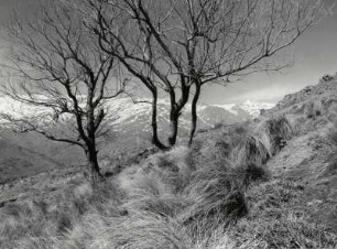 Landschaft in den Alpujarras bei Lanjaron, Andalusien