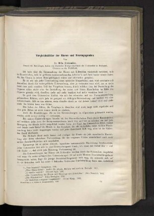 Vergleichsbilder der Nieren und Nierengegenden.