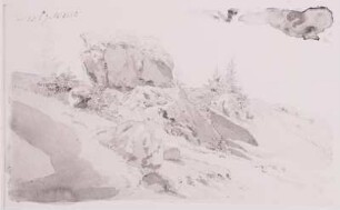 Felsenblöcke an einem Hang im Riesengebirge (Wiesenhang mit Fichten)