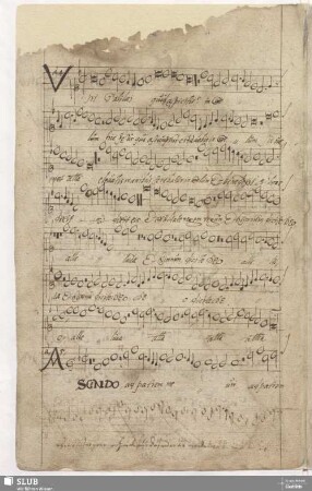 [147.] Ascendo ad patrem meum / Maillard, J.