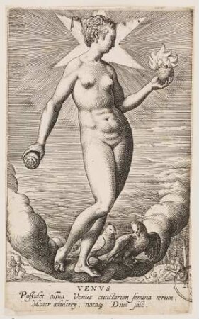Venus aus der Reihe De deis gentium imagines aliquot iconicae aeneis tabulis (...)