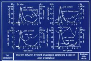 Relations between different physiological papameters in case of udder inflammations