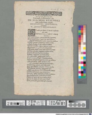 Nvptiis Secvndis Reuerendi, doctissimi'que viri, Dn. Ioachimi Westphali cum pudicissima virgine Magdalena Crovvellia, Gratulatur M. Antonivs Netlenbladivs
