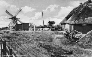 Born a. Darß. Erdholländer am Mühlenberg, Ansichtskarte