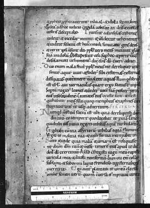 (Thomae Cantimpratensis) liber de naturis rerum, a. 1409 finitus [u.a.] - BSB Clm 27006
