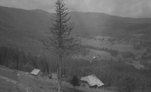 Feldberg: Feldbergstraße, mit Blick zum Feldberg