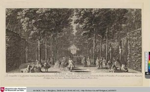 [Vuë des Bosquets du Jardin de Versailles:] La Salle aux Marronniers