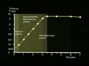 Ermittlung einer Wachstumskurve am Beispiel von Escherichia coli