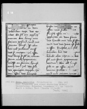 Fragment aus einer deutschen Bibelübersetzung; Text