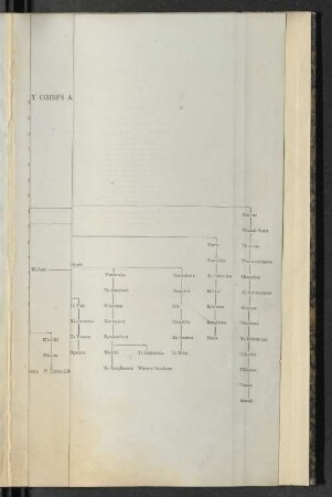 Sketch showing the affinitiy of sundry chiefs and tribes in the nothern island of New Zealand, 1858