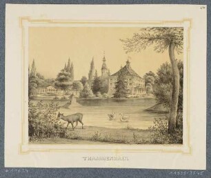 Das Rittergut (Wasserburg) in Thammenhain (Lossatal-Thammenhain), an der Dahlener Heide, aus dem Album der Rittergüter und Schlösser im Königreiche Sachsen, 1. Band