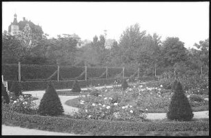 Chemnitz. Rosarium im Stadtpark