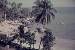 Reisefotos Karibik. Felsiger Strand mit Palmen