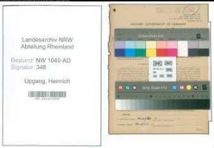 Entnazifizierung Heinrich Upgang , geb. 09.09.1900 (Landwirt)