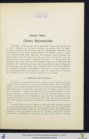 I. Schulter und Oberarm.