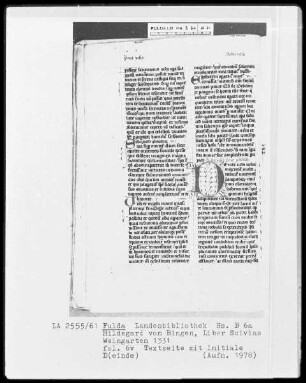 Hildegard von Bingen, Liber Scivias — Initiale D(einde), Folio 6verso