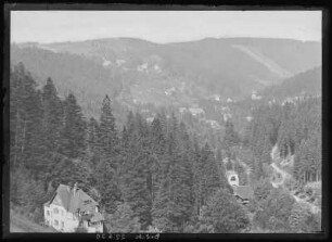 Bärenfels. Blick von Bärenfels auf Kipsdorf