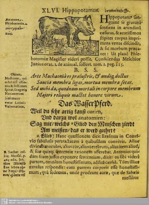XLVI. Hippopotamus