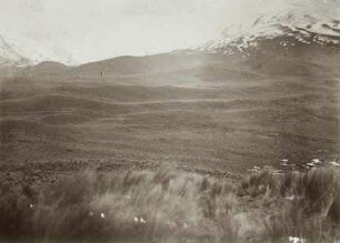 Altes Glazialtal am West Quilindana