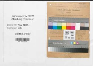 Entnazifizierung Peter Steffen , geb. 19.07.1906 (Kaufmann)