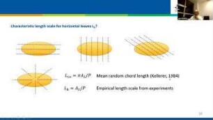 Heat transfer through the boundary layer of elliptical shaped leaves under free convection