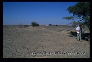 ACACIA