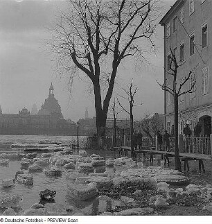 Dresden. Blick von der Wiesentorstraße über die Elbe gegen Terrassenufer während des Frühjahrhochwassers