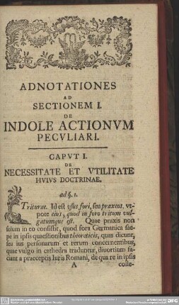 Adnotationes Ad Sectionem I. De Indole Actionum Peculiari