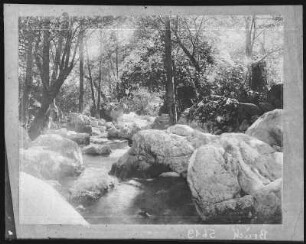 Kalifornien. A California creek Scene