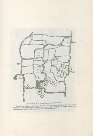 Plate XXIX. Plat of section of a'-to Si-pa'at