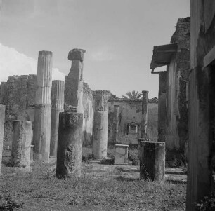 Casa dei Dioscuri & Casa di Castore e Polluce
