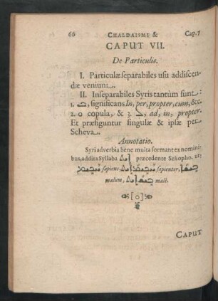 Caput VII. De Particulis.