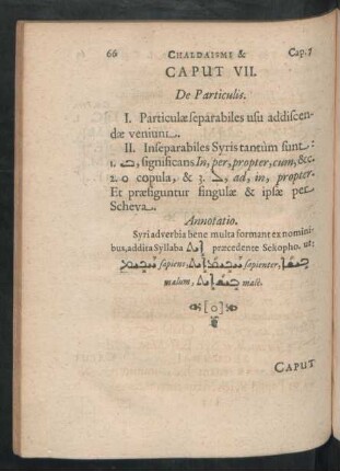 Caput VII. De Particulis.