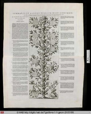 Stammbaum der Sultane des osmanischen Reichs von Osman I. bis Selim II.