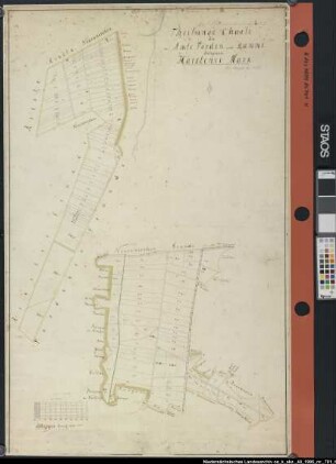 Teilung der HÖRSTENer Mark: Teilungskarte im Amt Vörden und Damme belegener Hörstener Mark Ausf.-Art: Farbige Handzeichnung auf Papier, auf Leinen aufgezogen Hersteller: Geometer H.G. Meessmann Format: 104,5 x 66 cm Maßstab: 1 : 3840