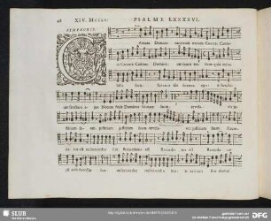 XIV. Cantate Domino canticum novum